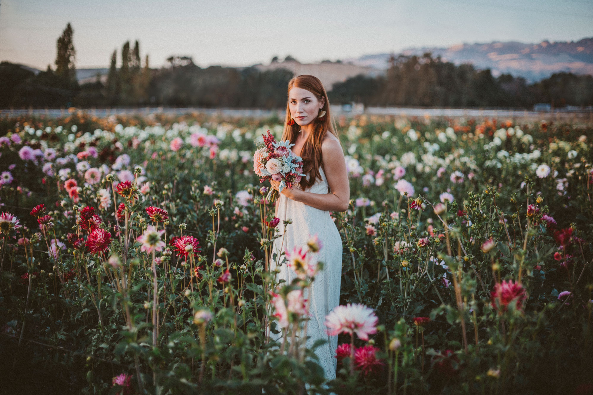 Bride in a field of flowers at Aztec Dahlia farm in Petaluma by Becca Henry Photography. Bouquet by Beijafloralbotanical.