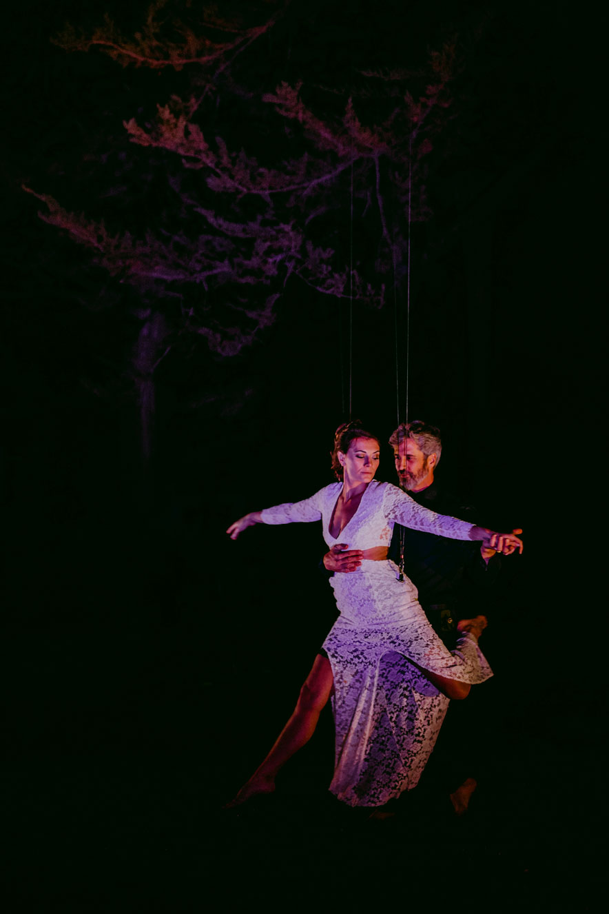 Bride and groom's first dance was a beautiful aerial piece. ..done to live cello music.