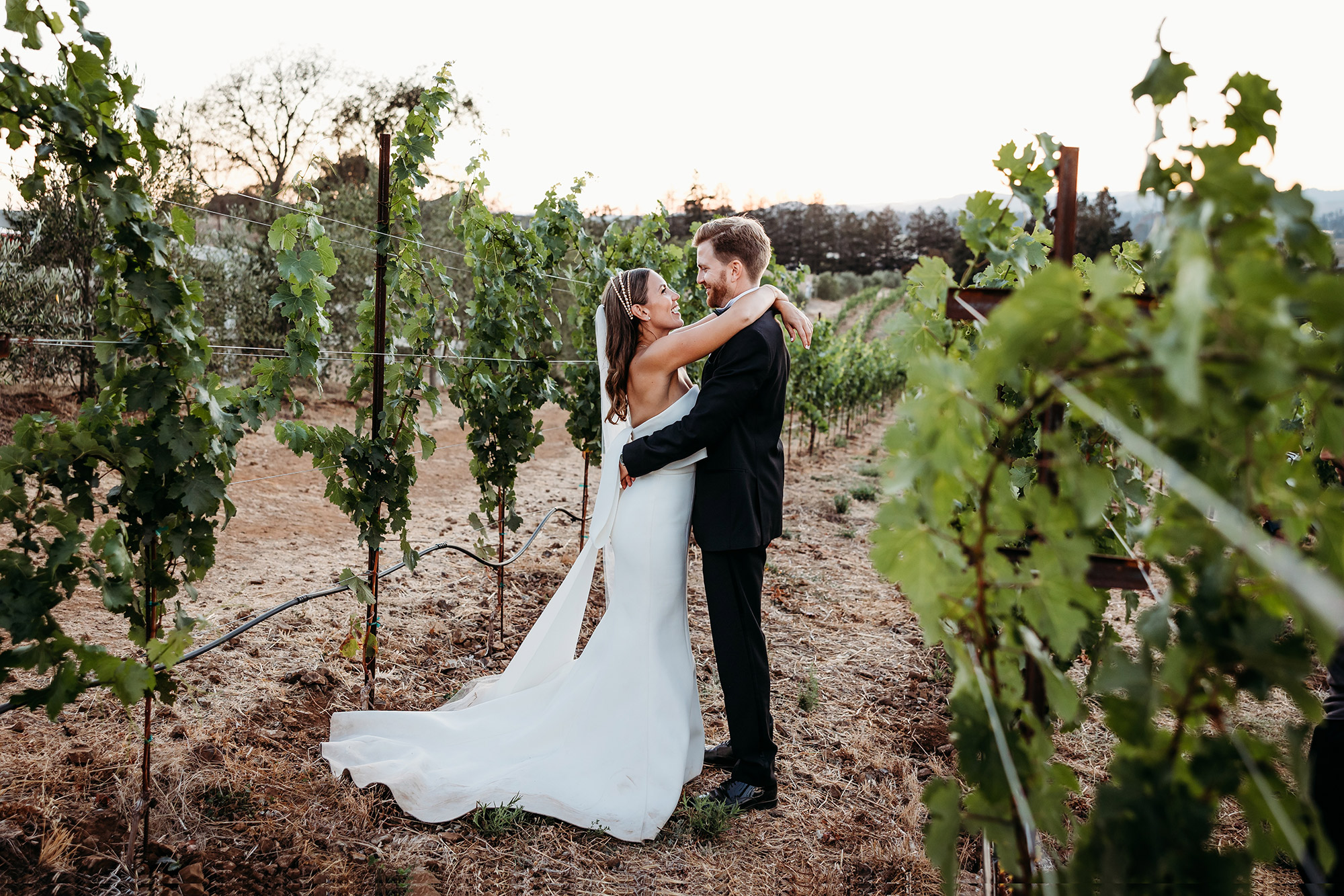 Bride and groom in vineyard in Northern California wedding